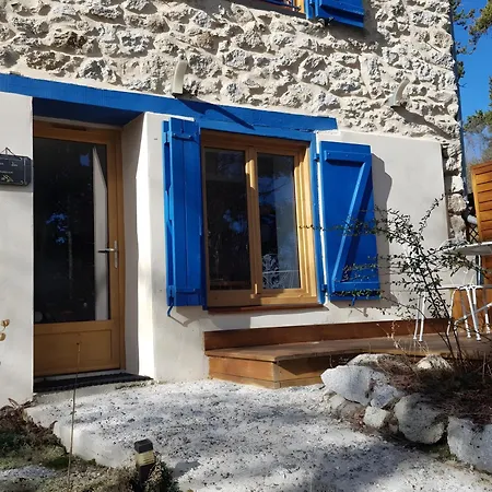 Sorbier Des Oiseaux *