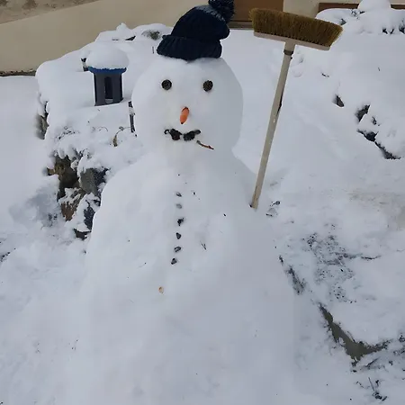 Sorbier Des Oiseaux Font-Romeu-Odeillo-Via