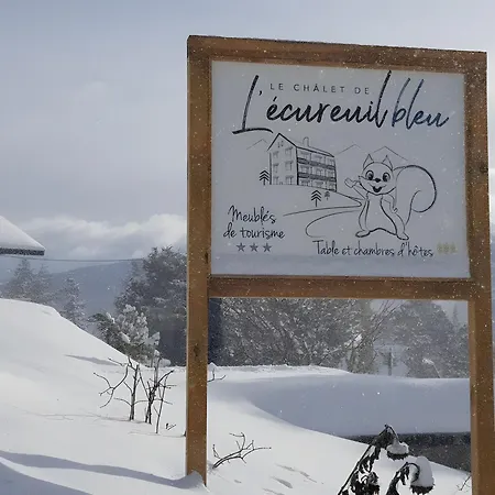 Sorbier Des Oiseaux *